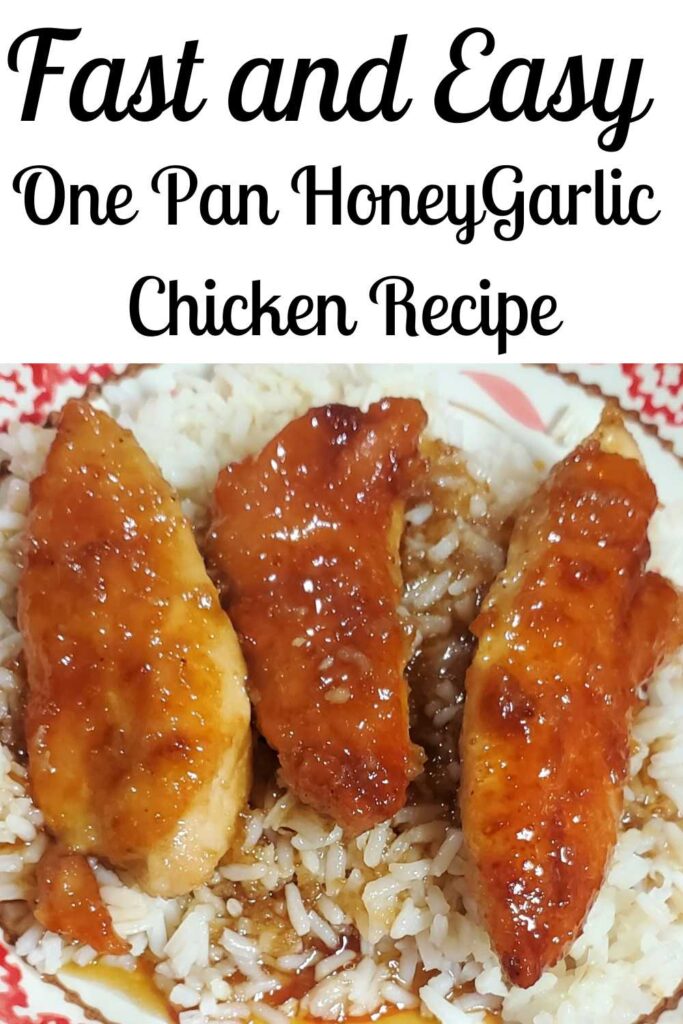 honey garlic chicken on white rice laying on red and white plate twinethyme